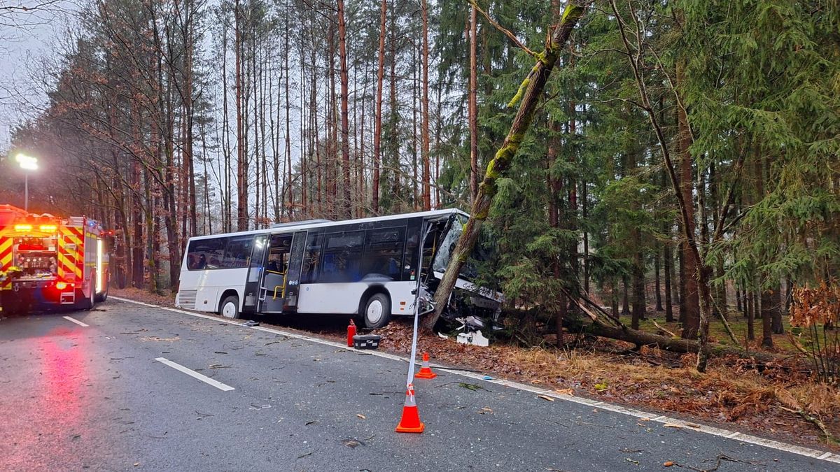 Na Rychnovsku narazil autobus do stromu