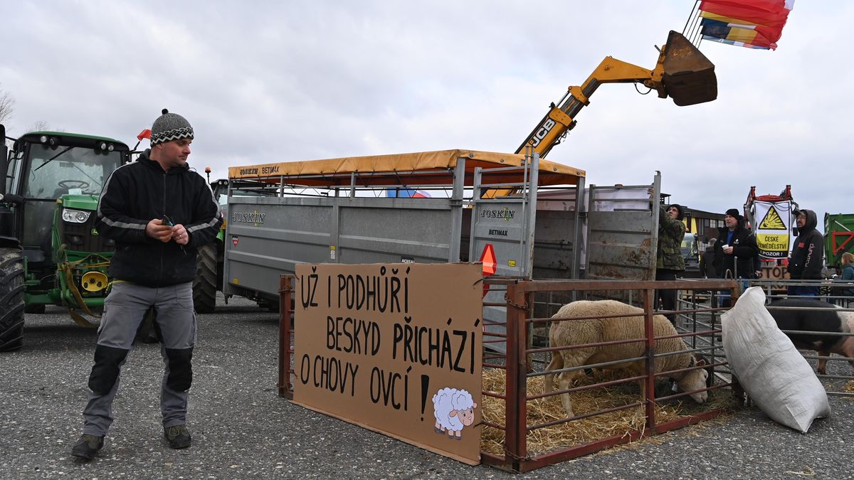 Stav je neudržitelný, varovali zemědělci na Frýdecko-Místecku. Protestovali i se zvířaty