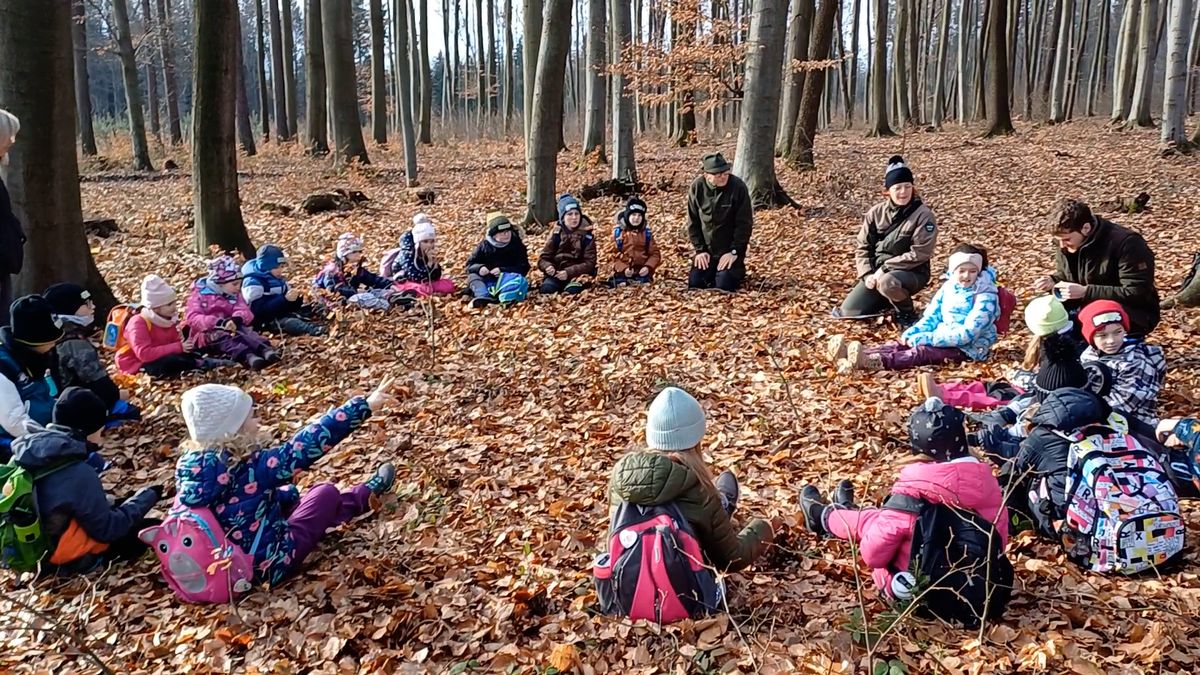 Lesní pedagogové učí veřejnost poznávat hodnotu lesa