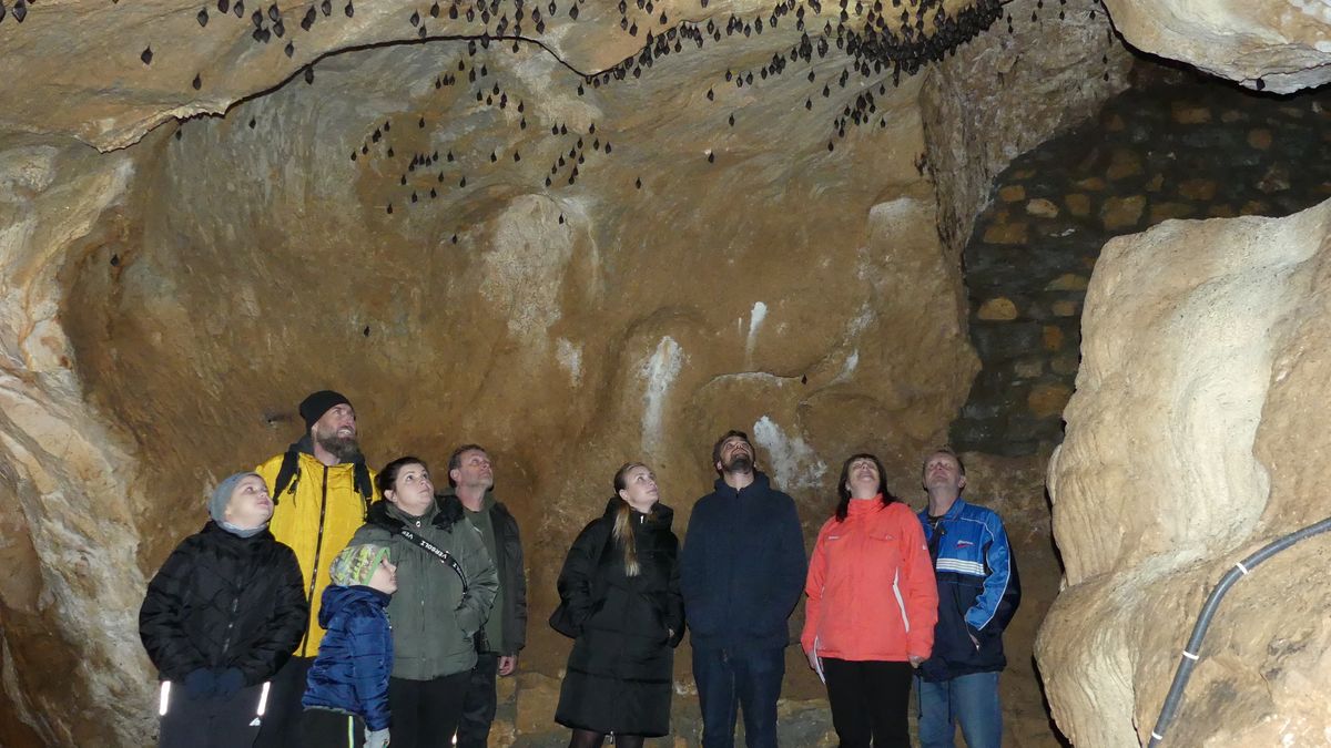 V Javoříčských jeskyních se chystají probouzet netopýry. Je jich tu u nás nejvíce