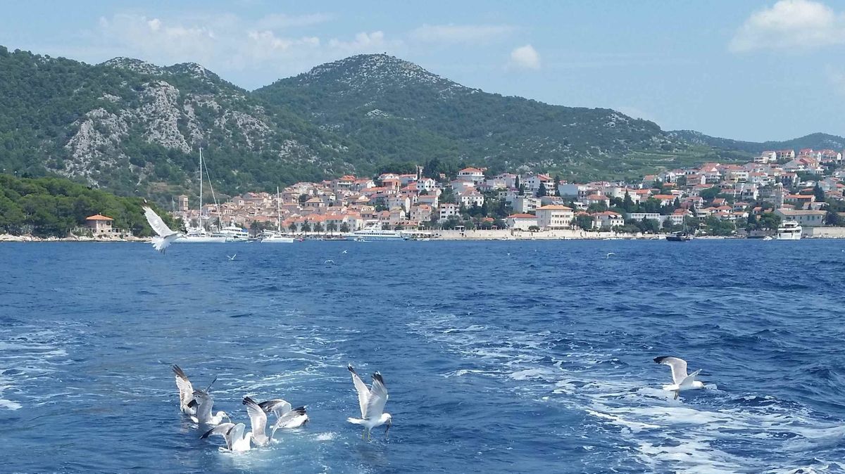 Muže z Hradce zaujala nabídka na pronájem vily v Chorvatsku. Poslal peníze a nemá nic