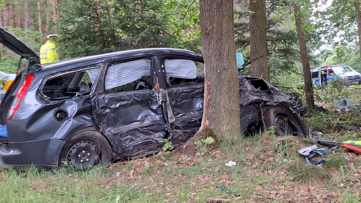 Řidič zemřel na Táborsku po nárazu do stromu, spolujezdkyně skončila v nemocnici