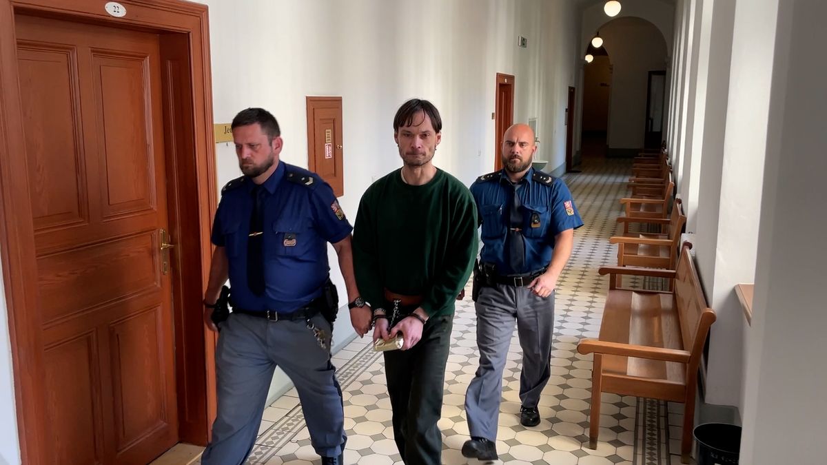 Muže zprostili viny z brutální vraždy v Plzni. Jen dedukce, řekl soud