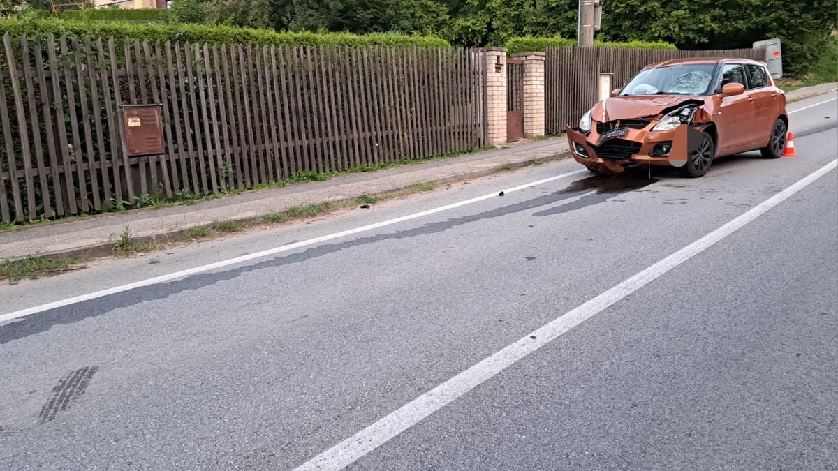 Na Českobudějovicku srazila mladá řidička ženu a dvě děti