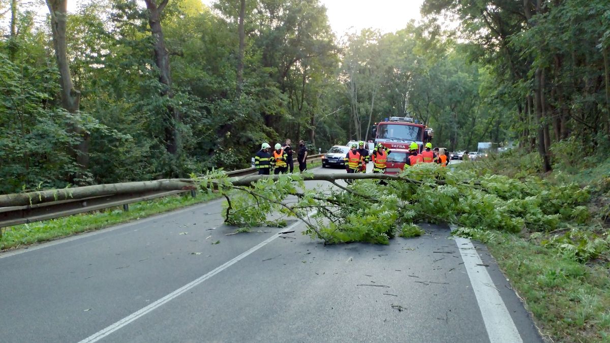 Na auto spadl za jízdy strom, zasahující hasiče zranil jiný vůz předjíždějící kolonu