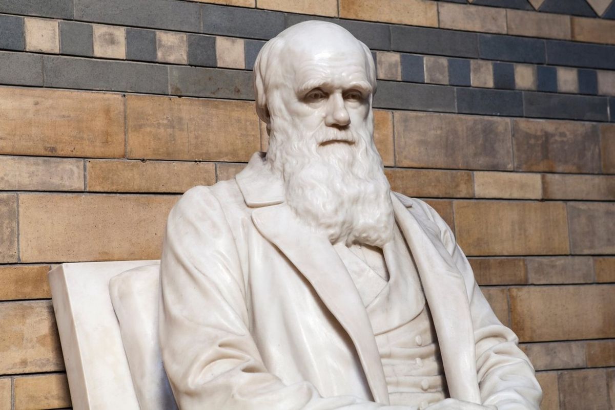 Socha Charlese Darwina v londýnském Přírodovědném muzeu