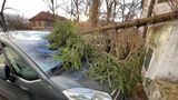 Při nehodách způsobených silnou bouří zemřeli v Německu nejméně dva lidé 