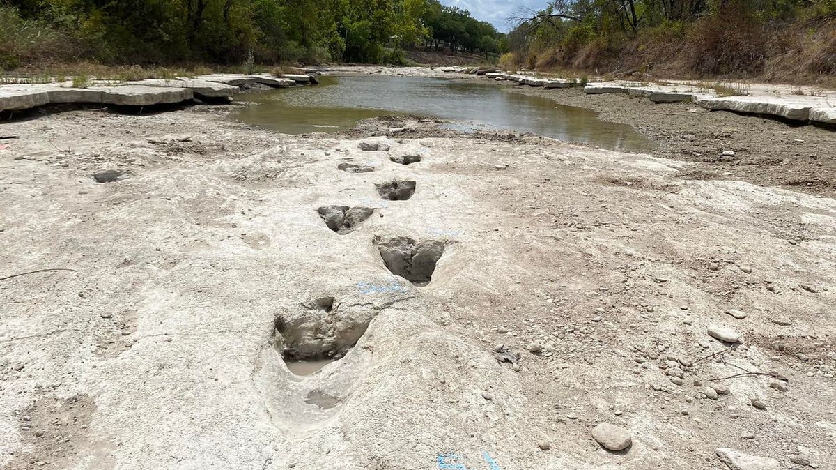 Sucho odhalilo další poklad: Procházku dinosaura americkou řekou
