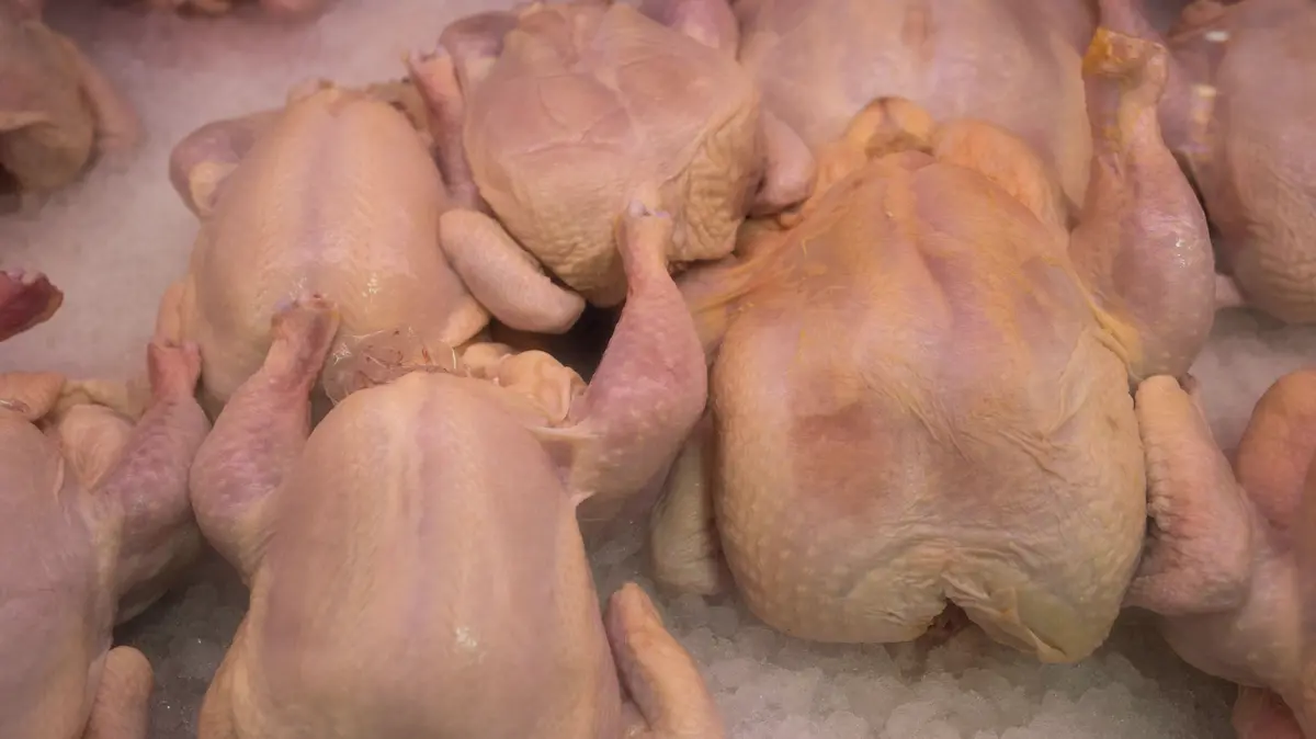 Potravinářská inspekce našla v Tesku kuřecí prsní řízky s bakteriemi salmonely