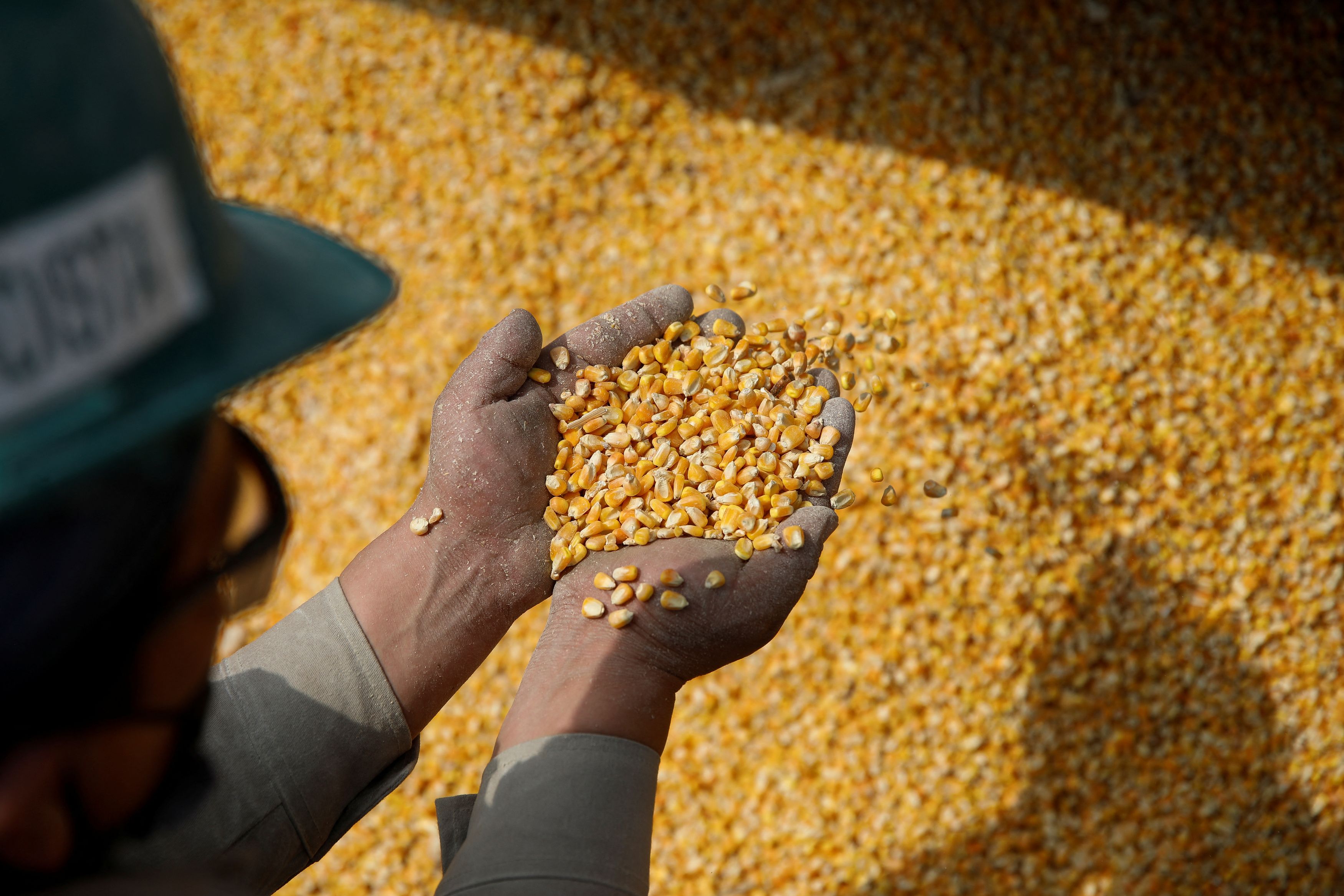 Vedra připravila evropské farmáře o miliardy