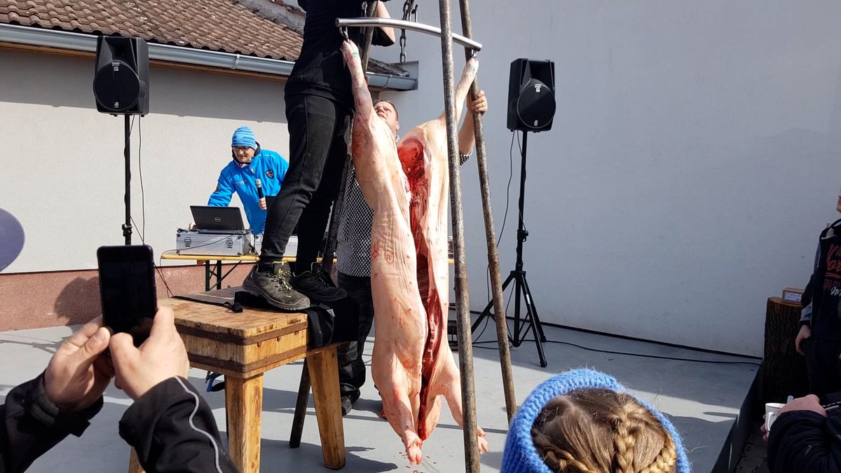 Pašík padnul na počest rekordního setkání Josefů