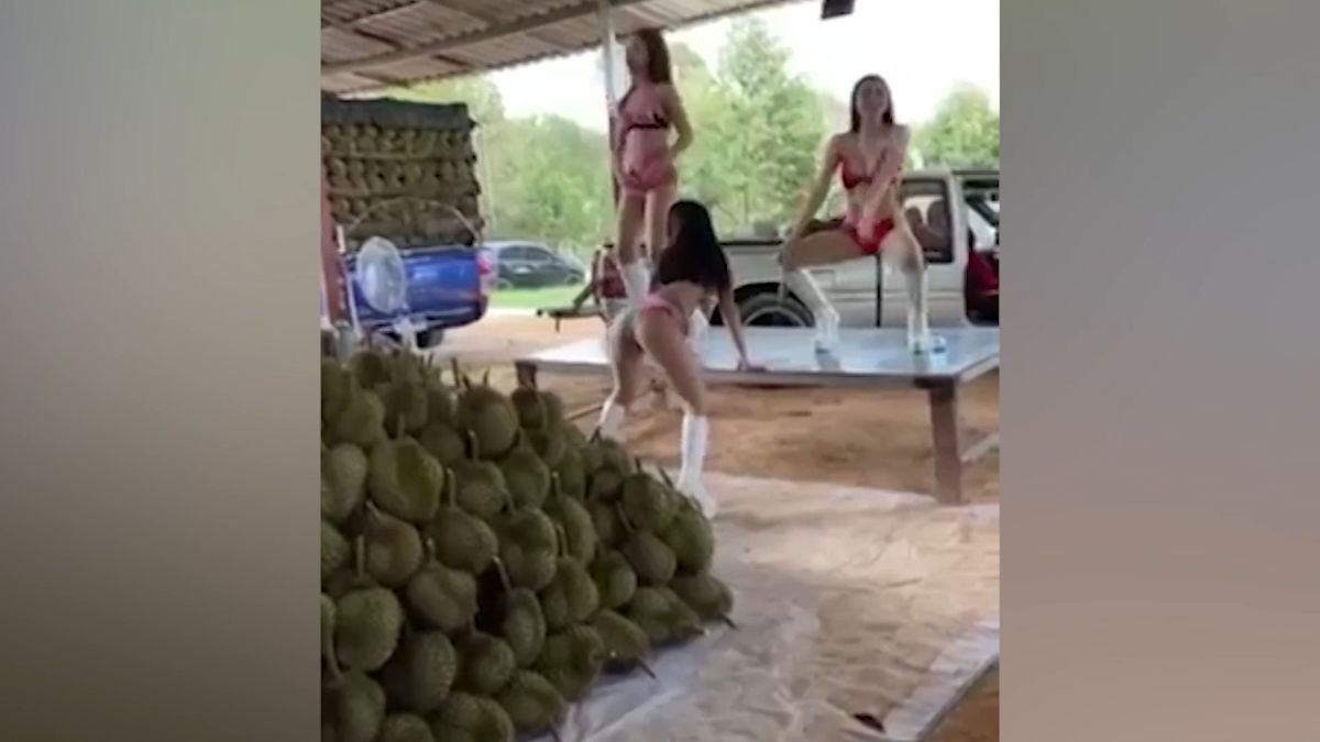 Majitel farmy najal sexy tanečnice, aby motivovaly dělníky