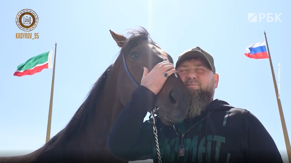 Koně ukradeného z Krabčic už objímá Kadyrov. Vylíčil dramatický únos