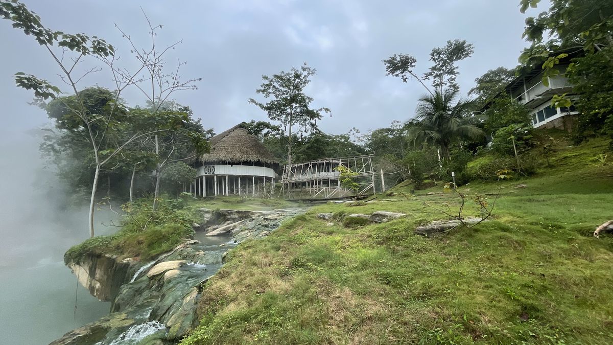 Expedice Neuron zkoumá účinky ayahuasky z hlubin amazonské džungle