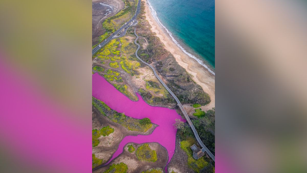 Růžová voda jako z filmu Barbie, v havajské přírodní rezervaci řeší záhadu