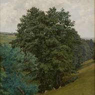 František Kaván: Nad potokem ve Víchovské Lhotě, olej na kartonu, 65 × 50 cm, soukromá sbírka