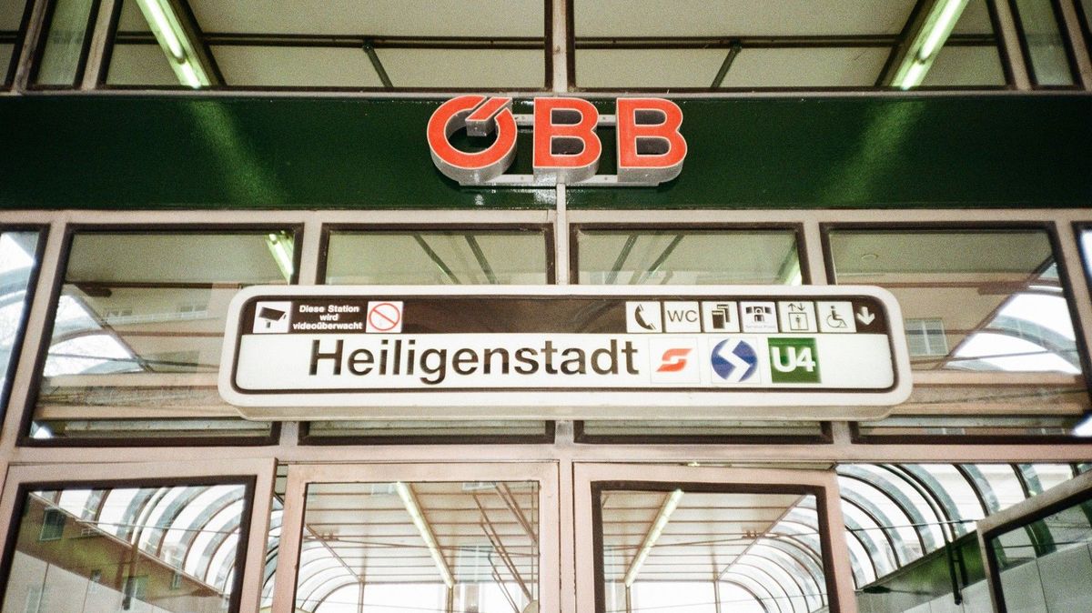 Patnáctiletá dívka na vídeňském nádraží srazila zákeřným kopancem 84letou seniorku. Asi moc drog, hájila se
