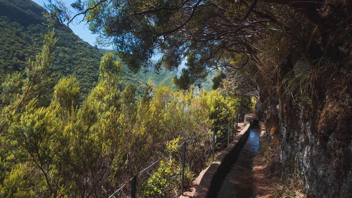 Nejvíc trendy destinací letošního roku je Madeira