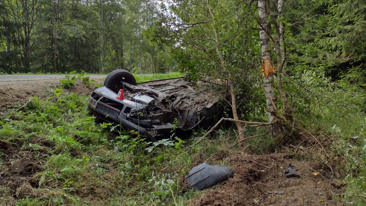 Auto na Sokolovsku havarovalo do vosího hnízda, pomoc záchranářů byla složitá