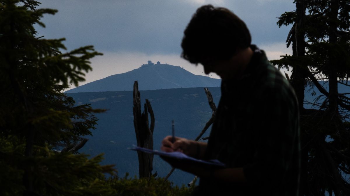 Kudlanka i zápřednice. V přírodě Krkonoš najdeme druhy a jevy, které se tam dříve nevyskytovaly