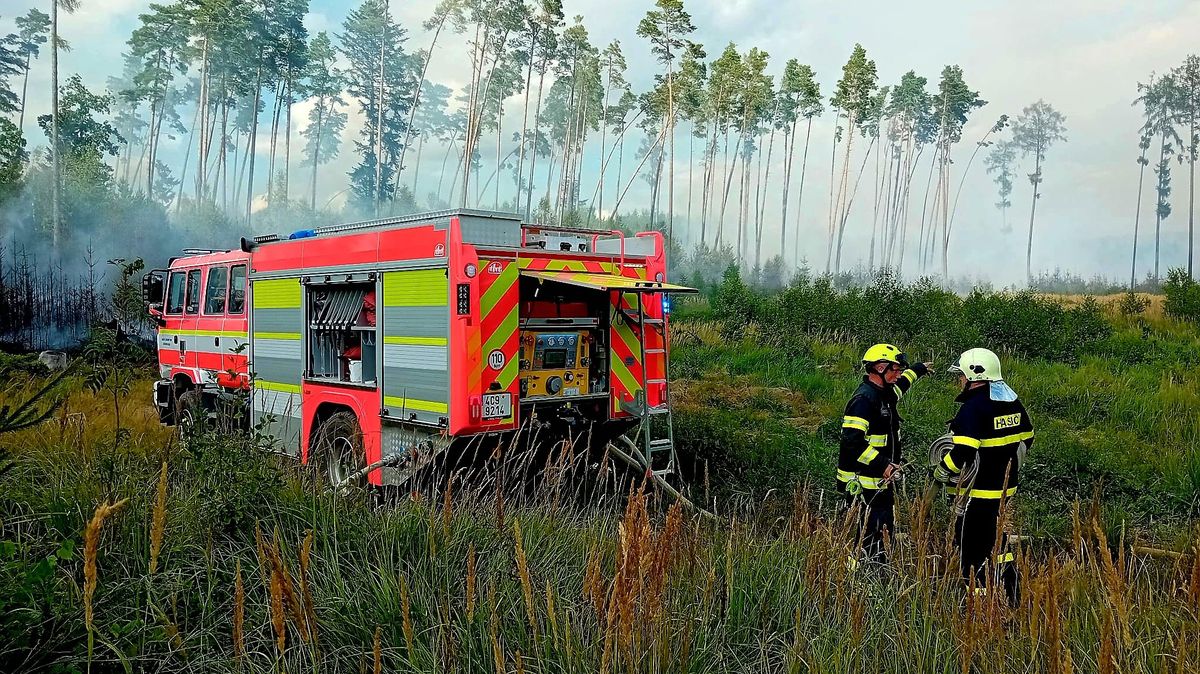 Požár u jihočeských Bělčic zasáhl pět hektarů lesa. Škoda přesáhla tři miliony