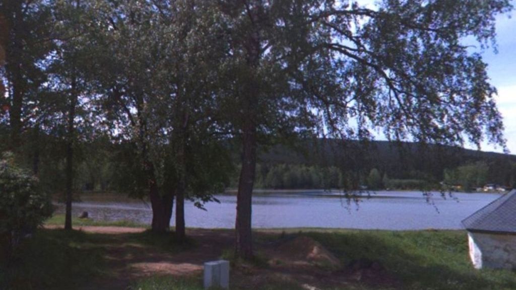 Spadlá větev z borovice smrtelně zranila ženu na Žďársku