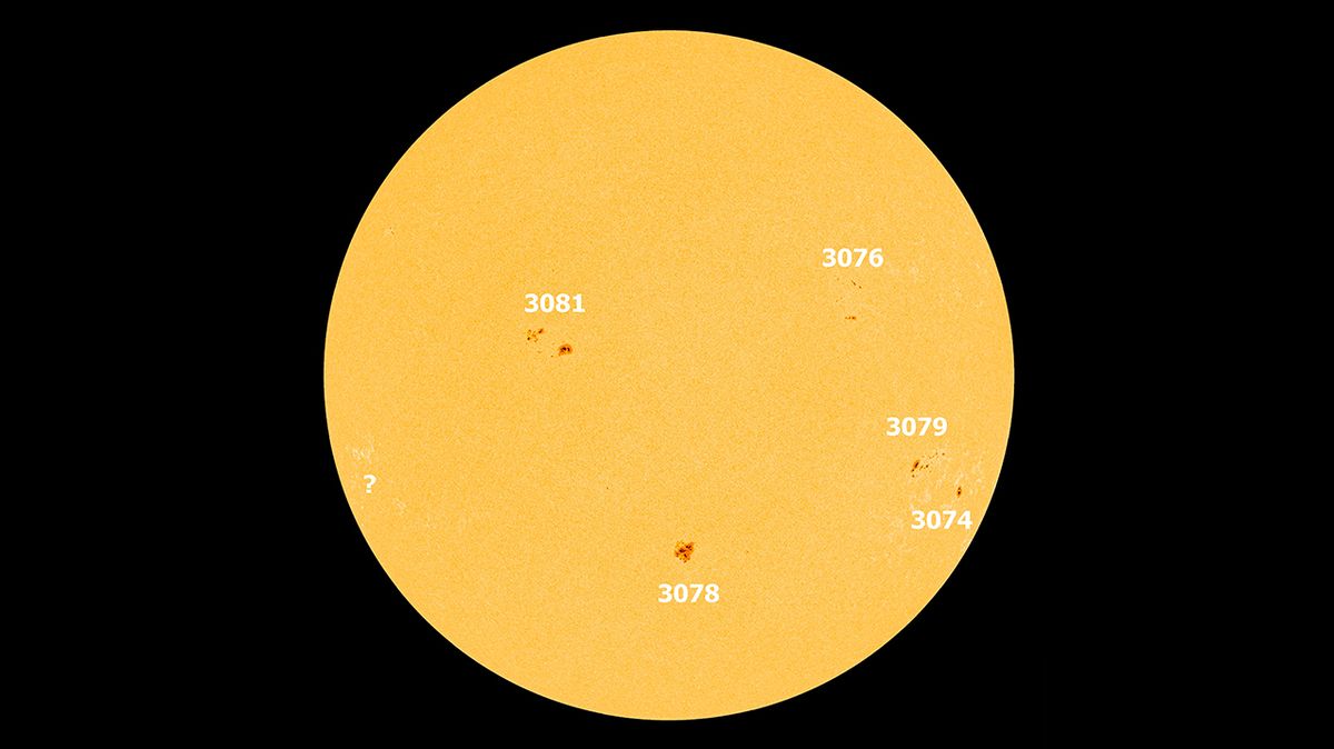 Celý disk Slunce vyfotografovaný vesmírnou observatoří Solar Dynamics Observatory 15. srpna 2022
