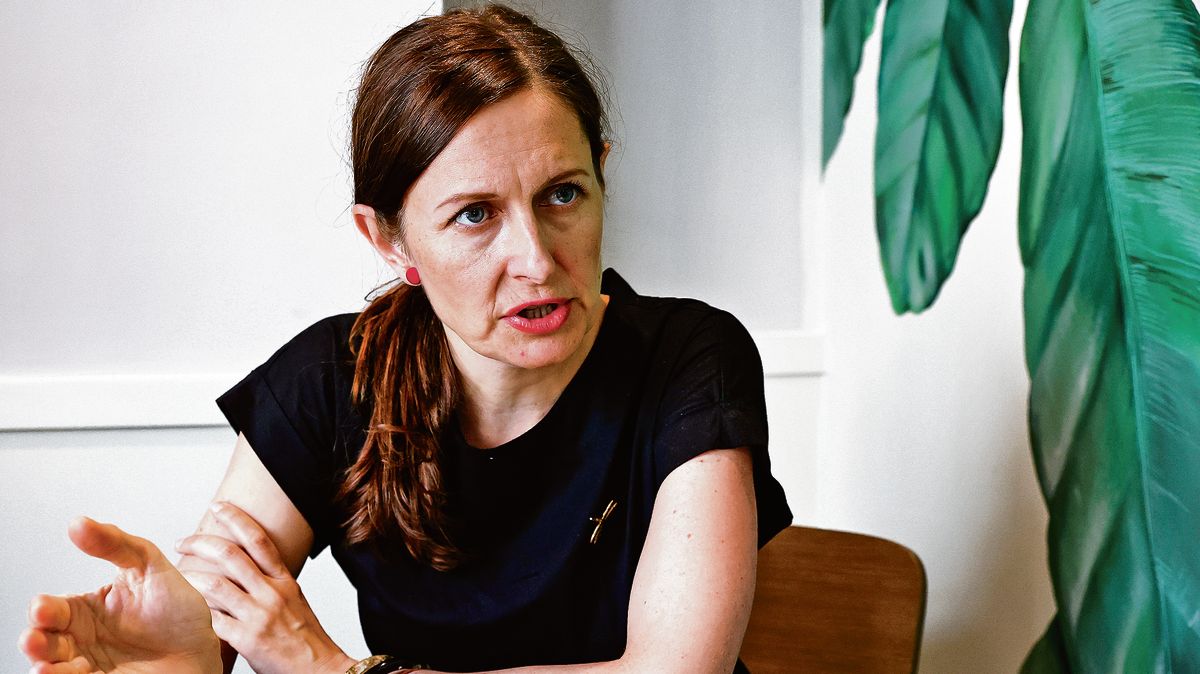 Zmocněnkyně pro lidská práva Laurenčíková: Tělesné trestání dětí bude nepřijatelné