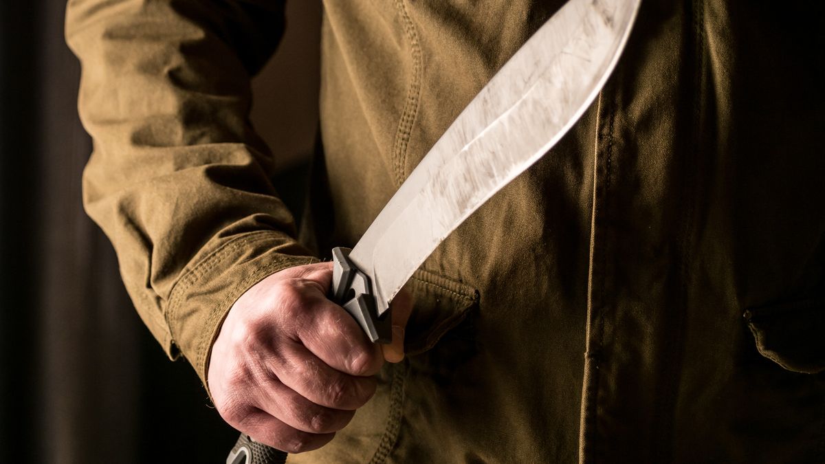 Muž s mačetou proháněl strážníky po domě v Kladně. Předtím napadl matku