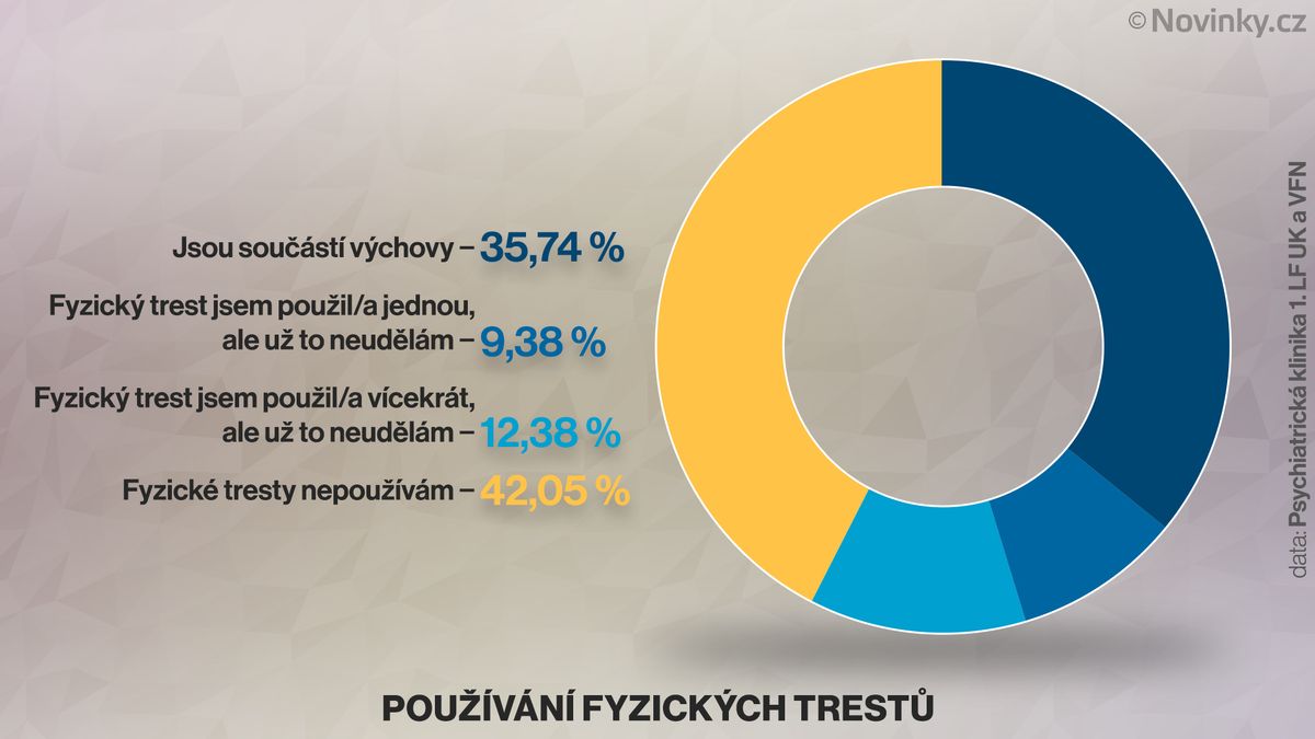Téměř 58 procent českých rodičů používá či použilo fyzický trest