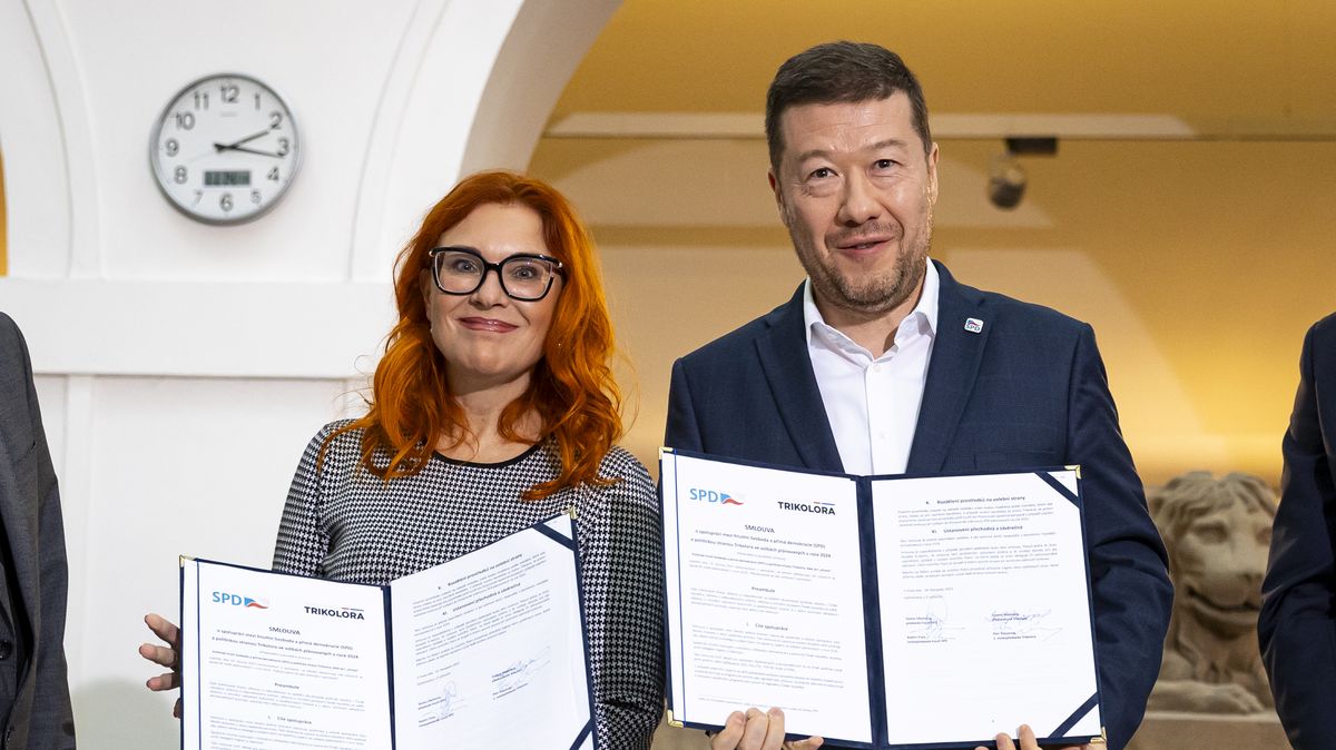 Kandidátka za SPD Majerová přirovnala Merze k Hitlerovi. Je to sranda, řekla
