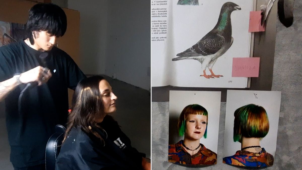Ostravský aktivista Fuki vytváří návštěvníkům galerie holubí účesy. Zájem je značný