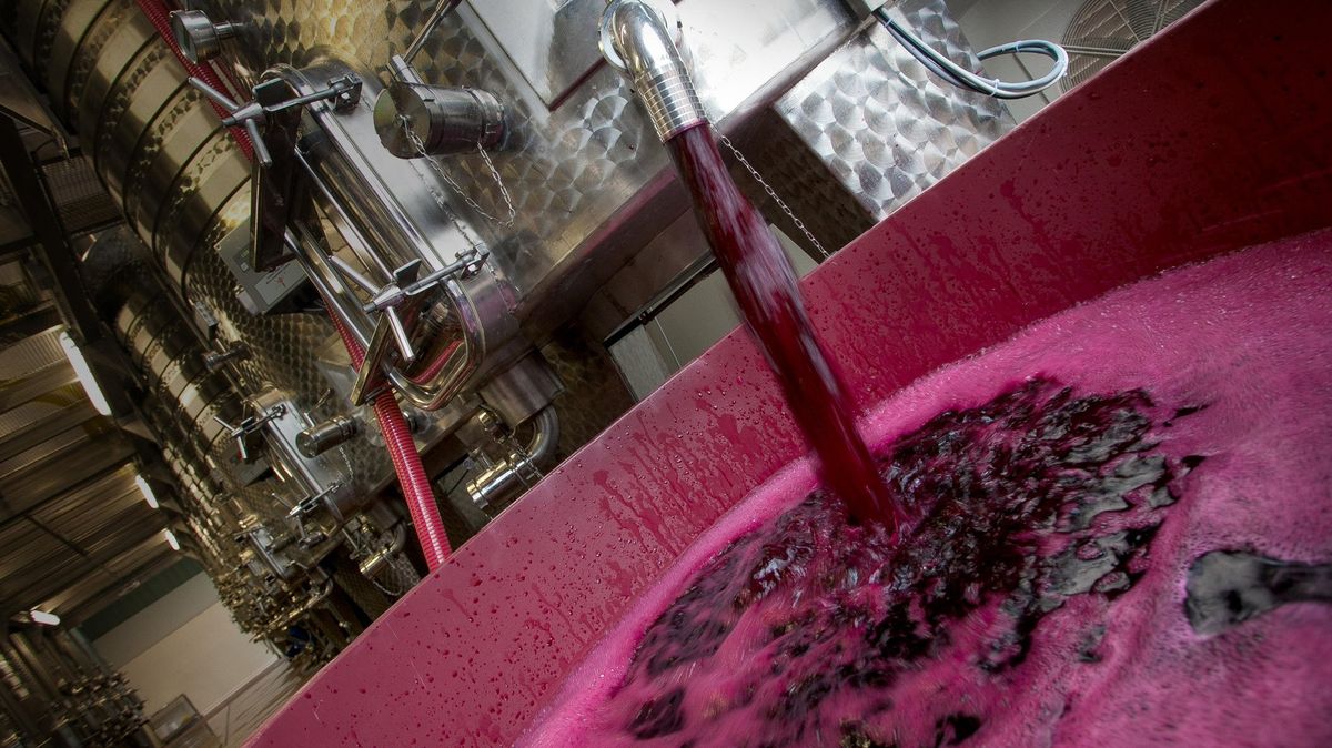 Vinaři chtějí místo spotřební daně minimální cenu za alkohol v tichém víně