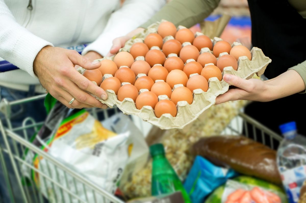 Supermarkety dál prodávají vejce z klecových chovů