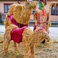 A také velbloudy se třemi králi.