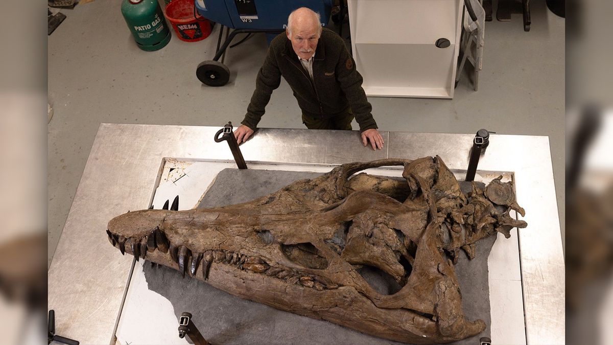 „Podobný exemplář neexistuje.“ V Anglii vystavují kompletní lebku pliosaura