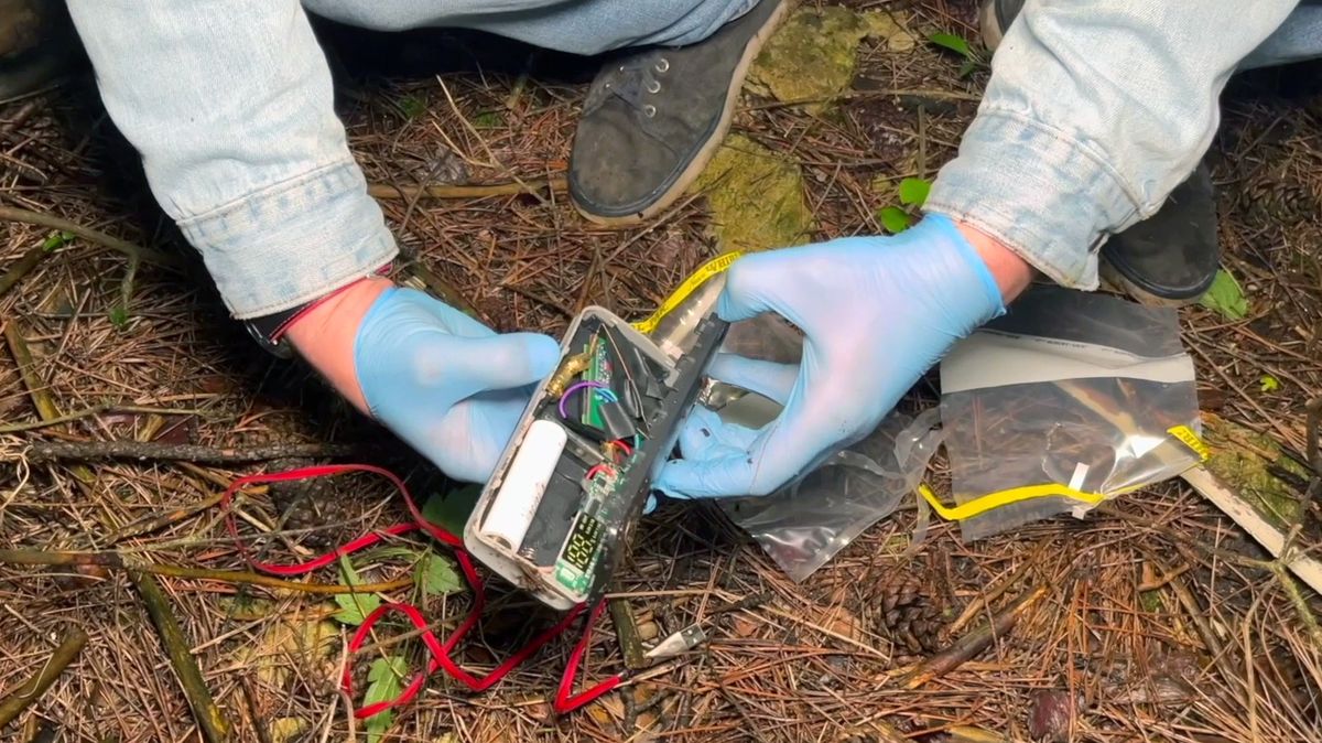 Staňte se trestajícím mečem. Ukrajina hledá dobrovolníky pro útoky na Krymu