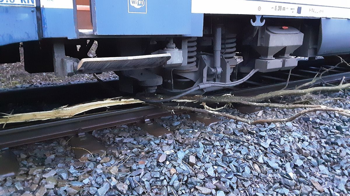 Na Prostějovsku najel vlak do stromu, hasiči evakuovali 26 cestujících
