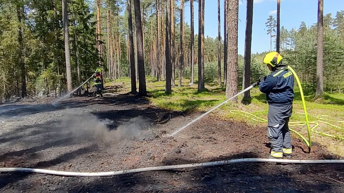 Hasiči na jihu Čech zápolí s lesními požáry, silný vítr poráží stromy