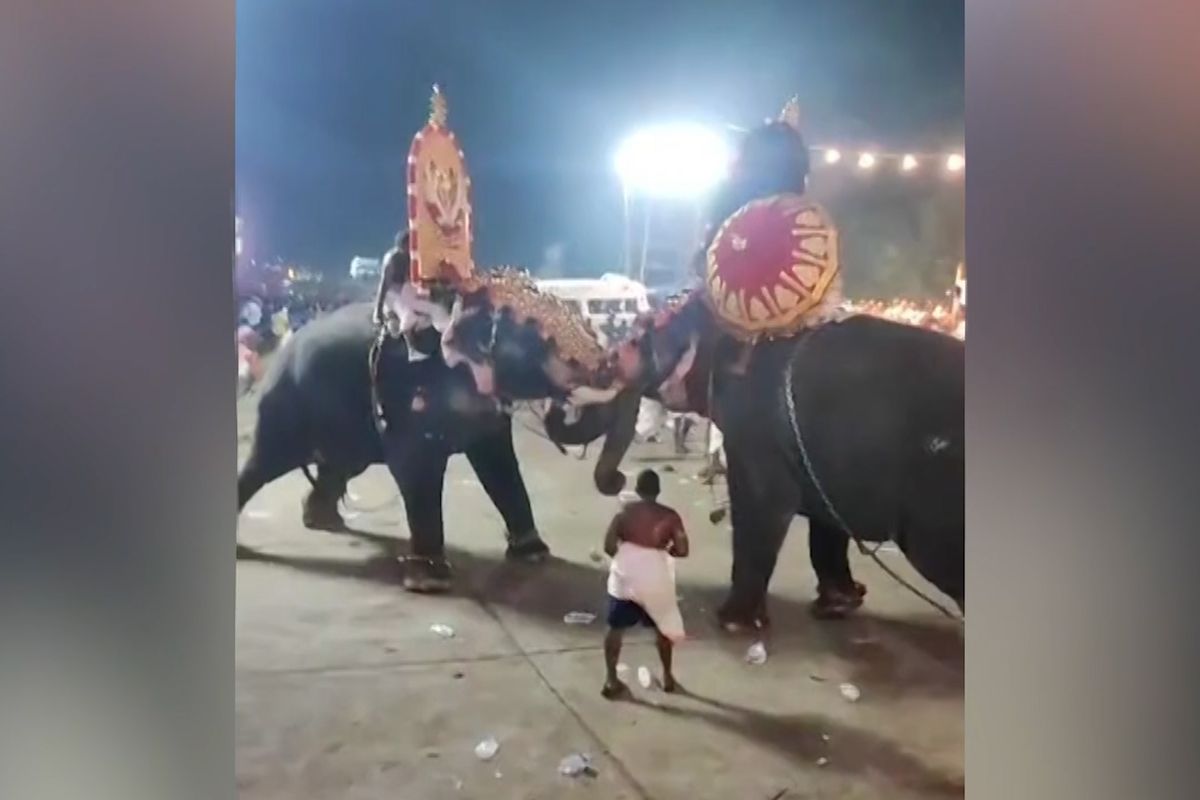 Při hinduistickém festivalu se porvali dva sloni. V panice se zranily desítky lidí