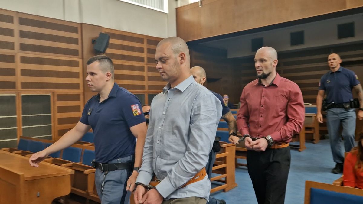 Výjimečný trest za brutální vraždu na Svitavsku: Tělo oběti muži vařili a ostatky roznesli po okolí