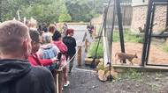 Zoo v Děčíně zorganizovala choulostivou prohlídku jen pro dospělé, byl o ni velký zájem