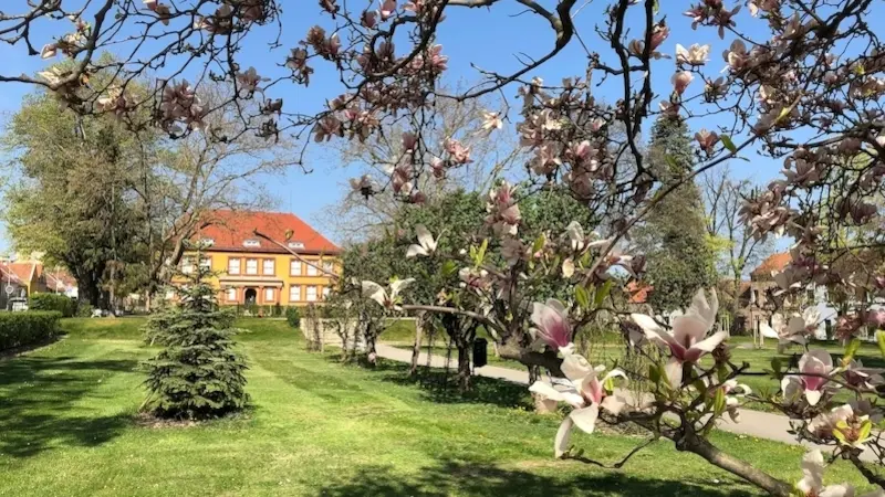 Jubilejni Park Ve Znojme Ceka Druha Etapa Revitalizace Novinky Cz