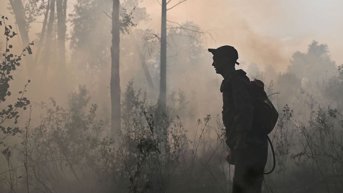 Kypr požádal EU a Izrael o pomoc při hašení lesních požárů