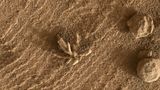 Vozítko Curiosity spatřilo na Marsu květinu