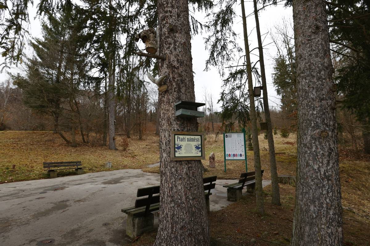 Trasa začíná i končí na Ptačím náměstí - křižovatce značených lázeňských cest.