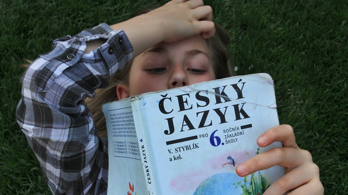 Ukrajinci se chtějí učit česky, jazykové školy jim nabízejí kurzy zdarma