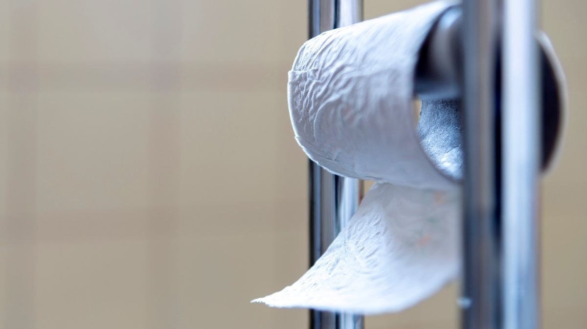 Toaletní papír zdražuje kvůli ruskému zákazu vývozu břízy