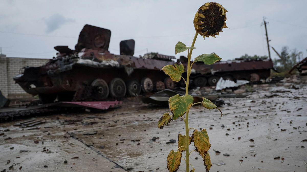 OSN: Na Ukrajině byly spáchány válečné zločiny