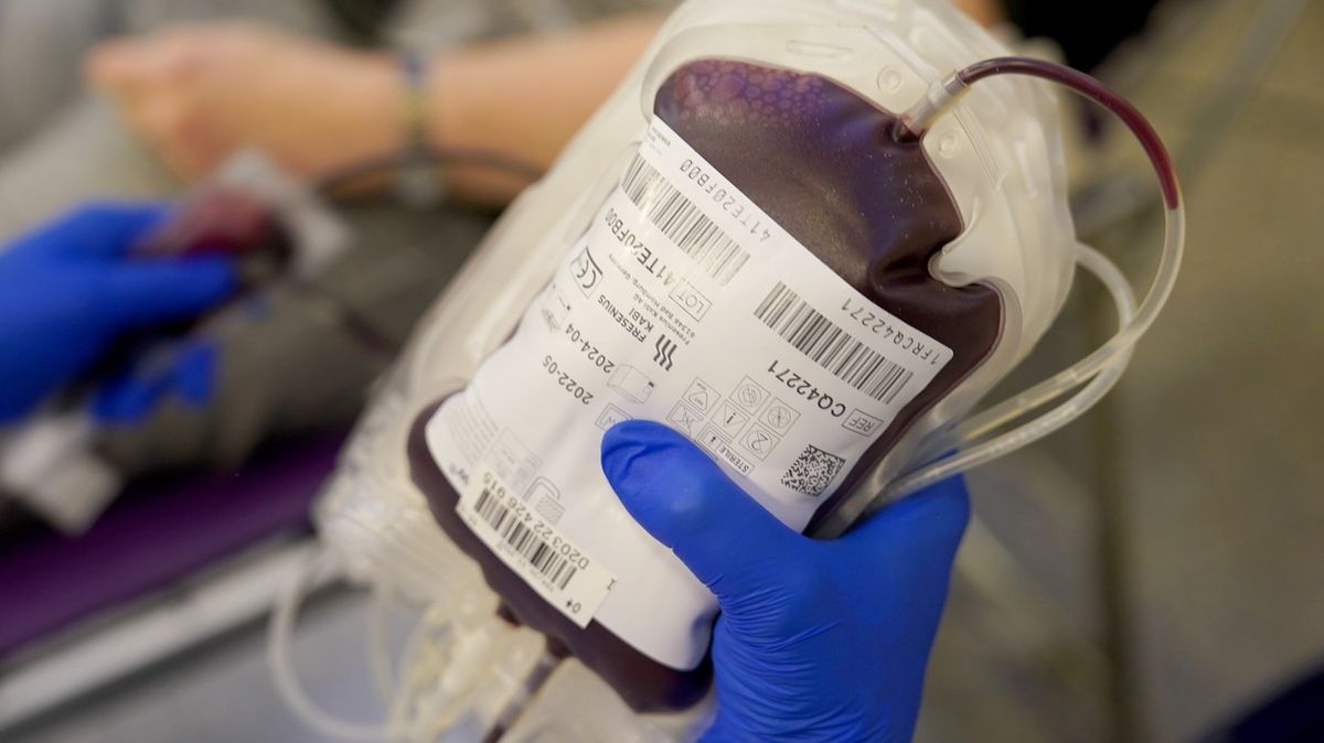 Německo skončí s diskriminací gayů při dárcovství krve